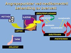  Figur 1    Figuren viser virkningsmekanismene for noen av medikamentene som er omtalt. Leptin virker p&aring; hypothalamus og&hellip;