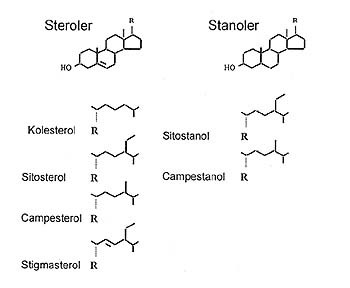  Figur 1    Molekylstruktur av kolesterol og hovedformene av plantesteroler og plantestanoler. Figuren viser variasjonen i&hellip;
